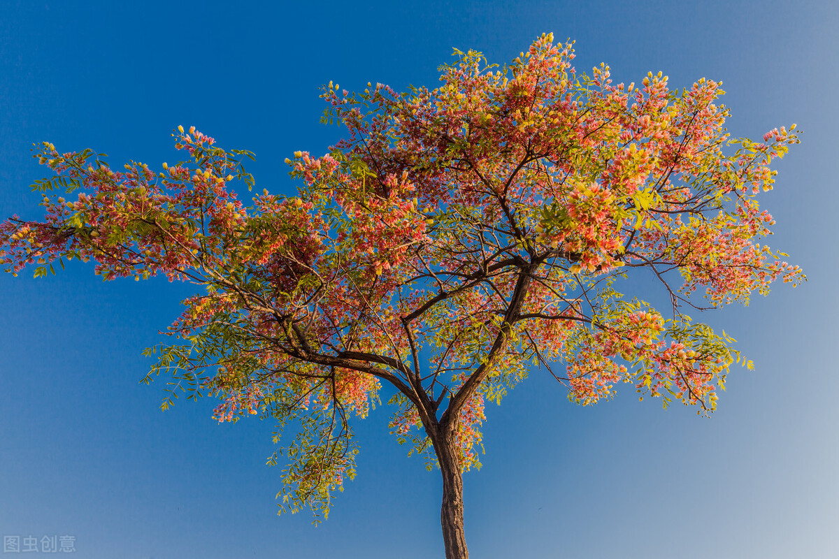 改变气质女人的6个好习惯,培养气质的100个好习惯