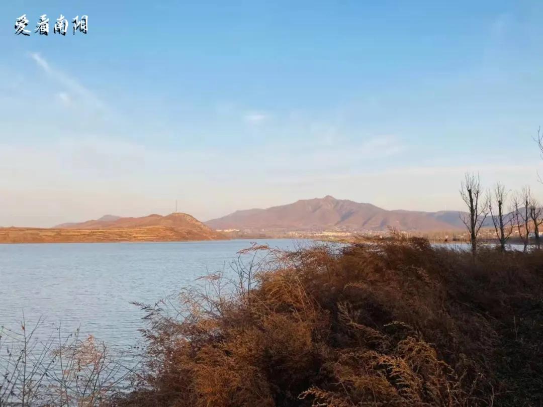 爱看南阳㉟你好2022，再见2021