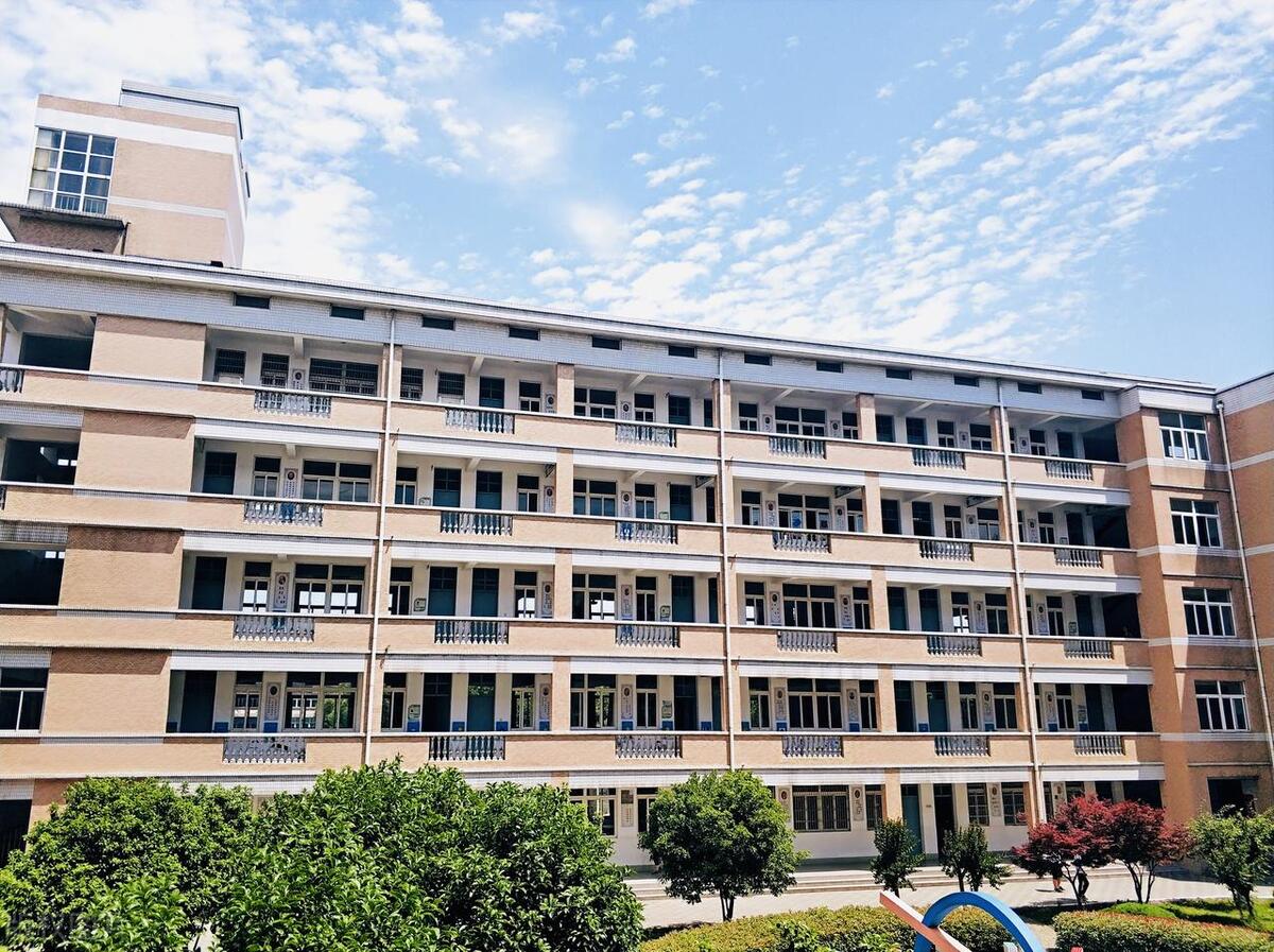 梦见故事会延续下去,梦见自己重回校园