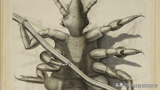 1666年，英国小伙破译了上帝的语言，然后，炼金术士们消失了