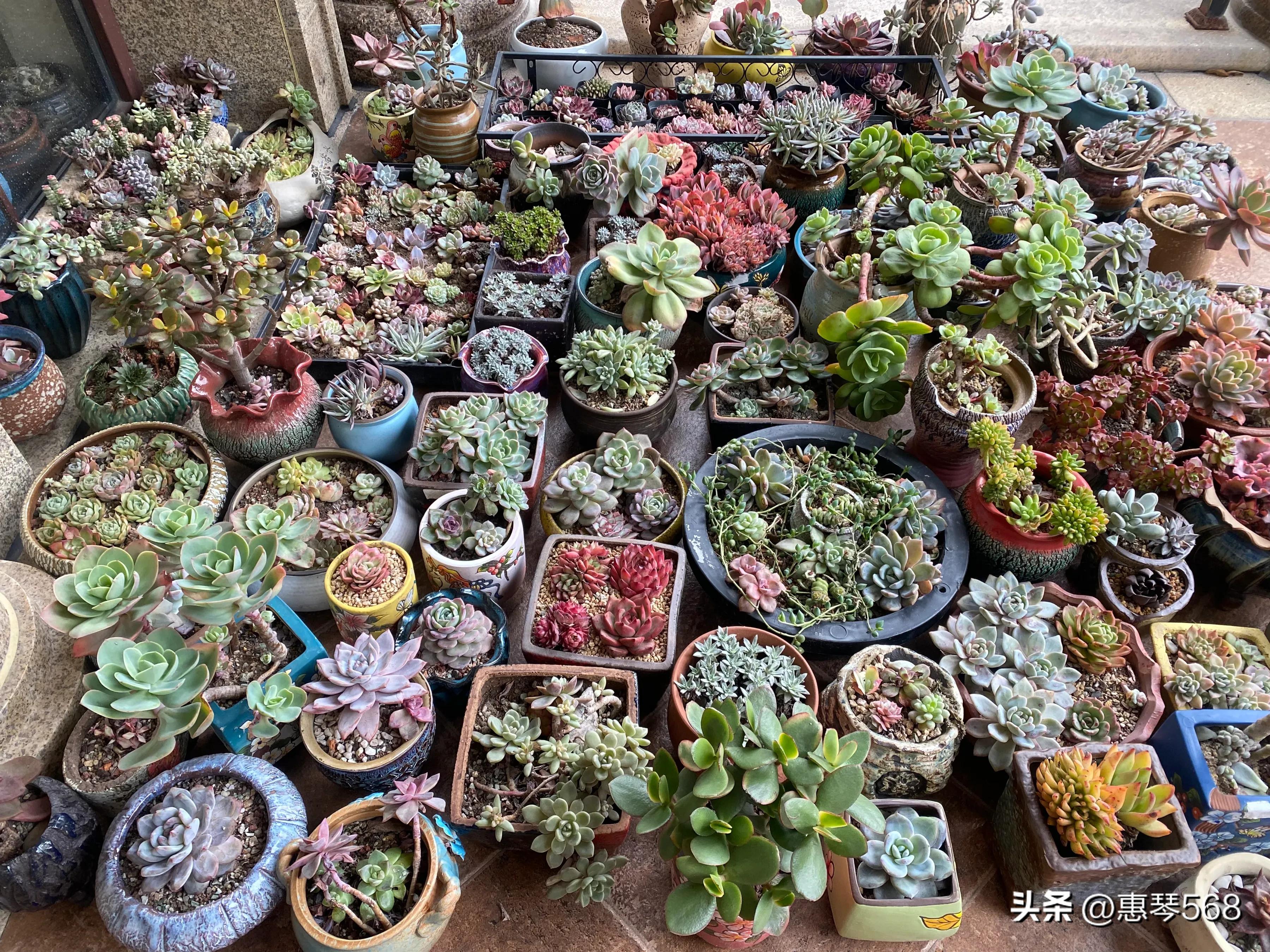 我的照片全部删了怎么找回来,我的照片图库在哪里