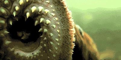 世界上有没有恐怖七鳃鳗,蛇形的鱼有哪些