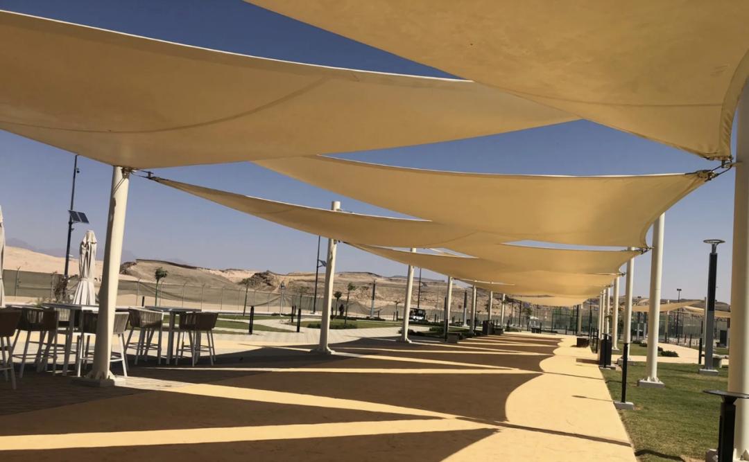 沙特发钱,沙特发钱吗