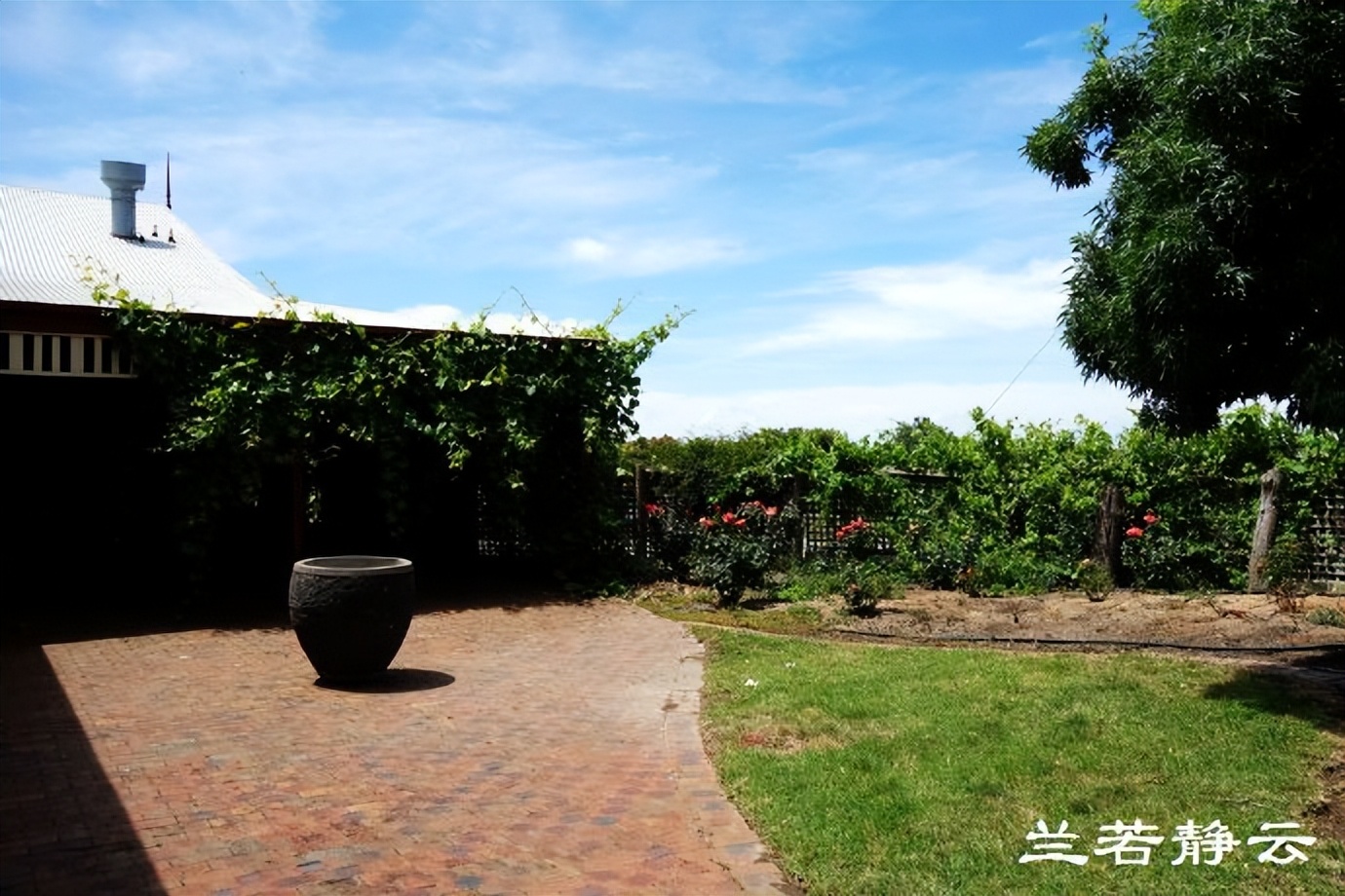 澳洲·墨尔本：到酒庄免费品酒，付5澳元到樱桃园吃到撑