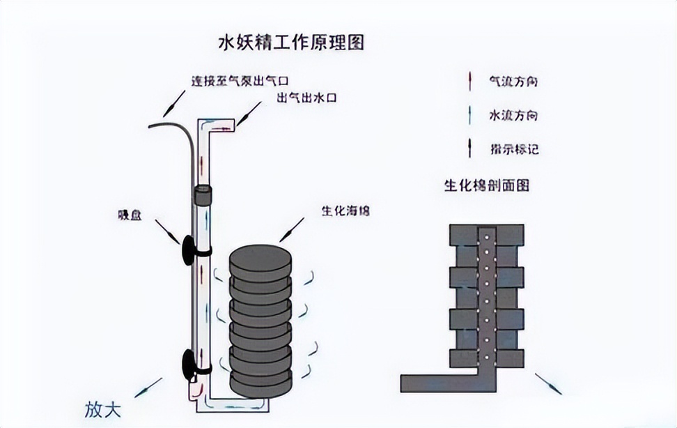 大型观赏鱼池过滤系统,40平鱼池一体化自动过滤系统设备