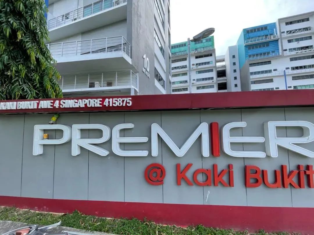 鲜花在水里能养几天会死,新加坡盆栽花卉怎么养