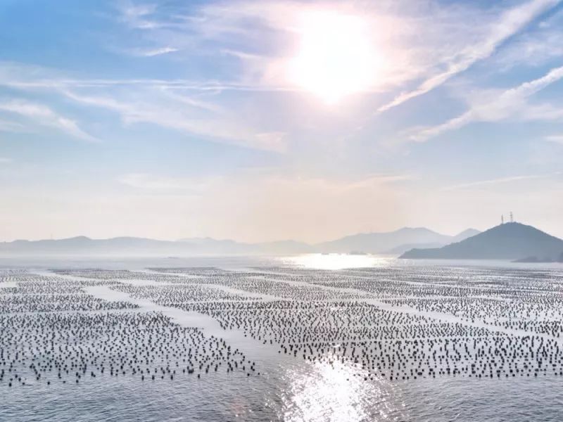 上海附近小岛最便宜的民宿,上海周边海边民宿