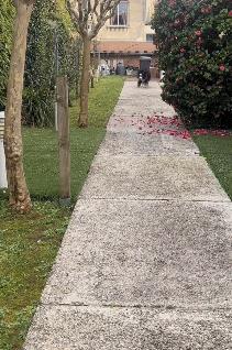 派出所警犬擦手,警犬被拿去擦手