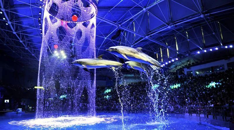 国庆来大连玩,国庆去哪里玩大连