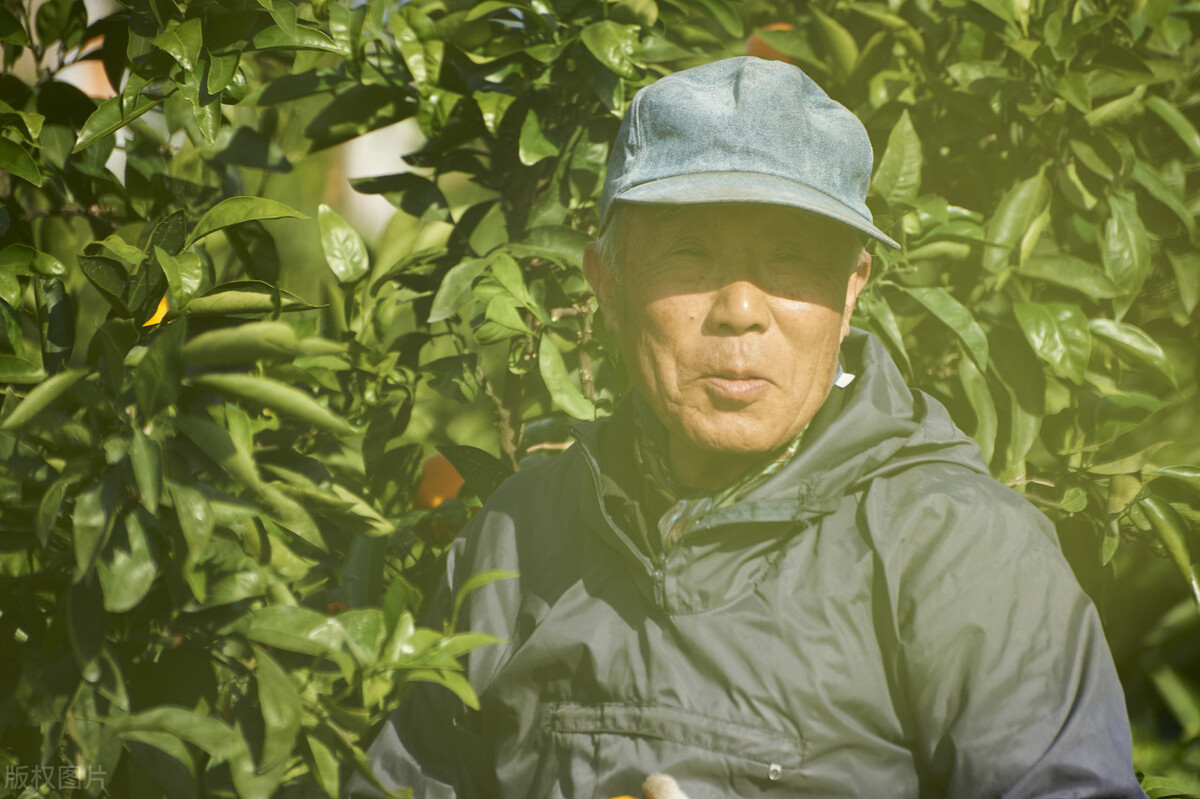 我在日本打工的那些日子,八十后的我在日本