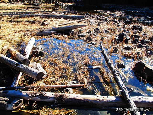 到云南昆明旅游必去的景点有哪些,云南香格里拉旅游攻略必去景点