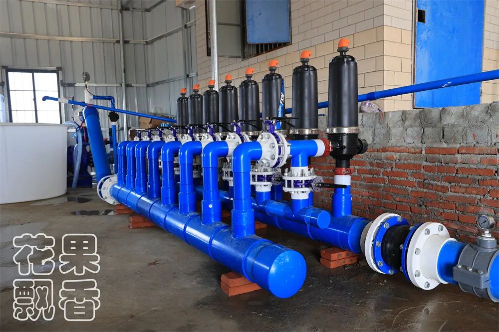 农业项目每亩净收益,农业养殖类项目有没有扶持政策