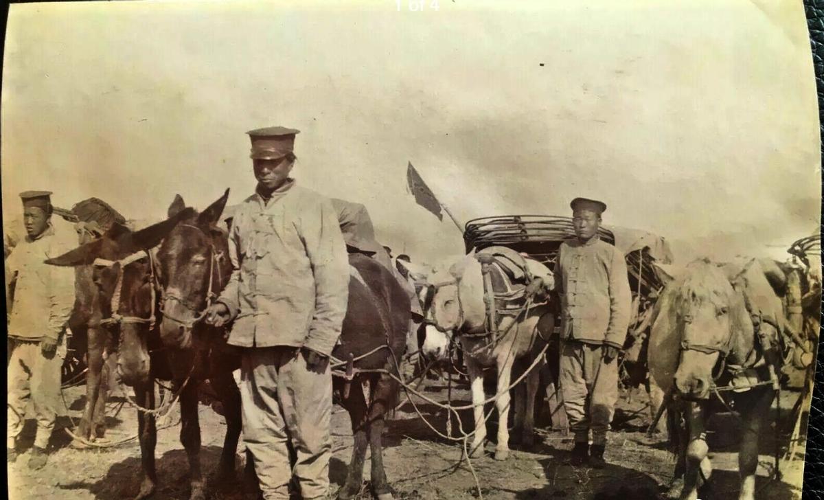 清末老照片晚清名妓貌美如花,晚清老照片名妓貌美如花