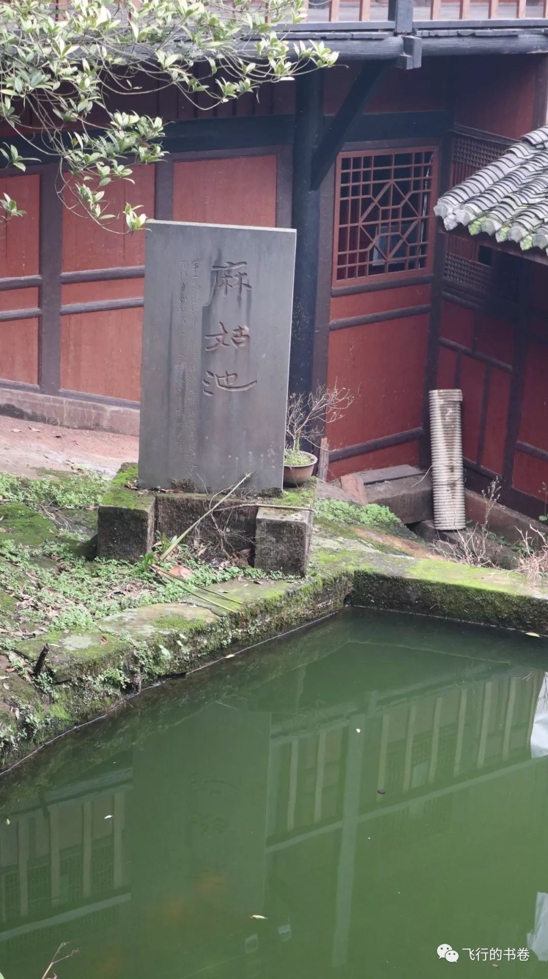 道教四大仙山你爬过几座,青城山为什么被称作道教第一山