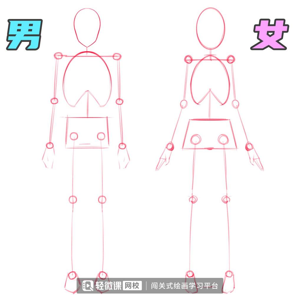 漫画人物人体怎么画,漫画人体结构怎么画好看