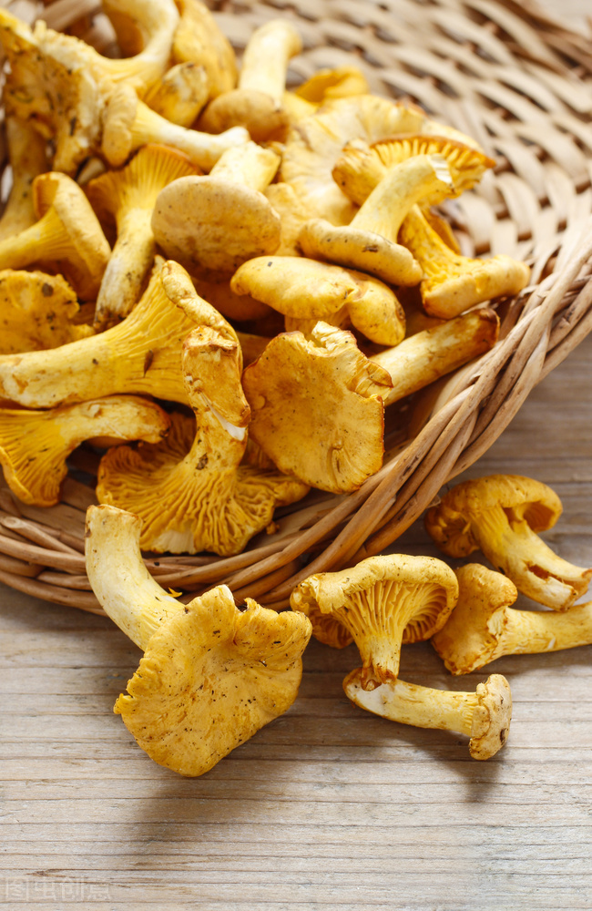 云南鸡油菌品种,云南野生鸡油菌产地直发