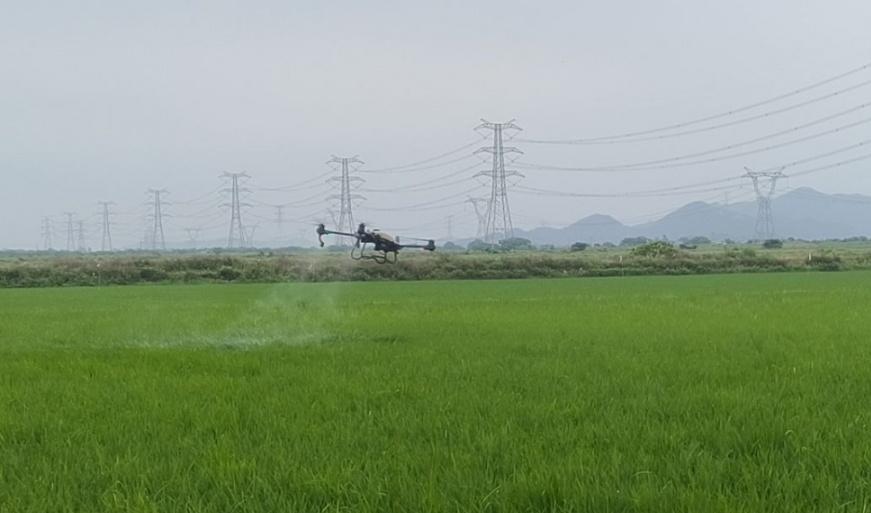 耕地保护专项监督工作方案,研究耕地保护和粮食安全