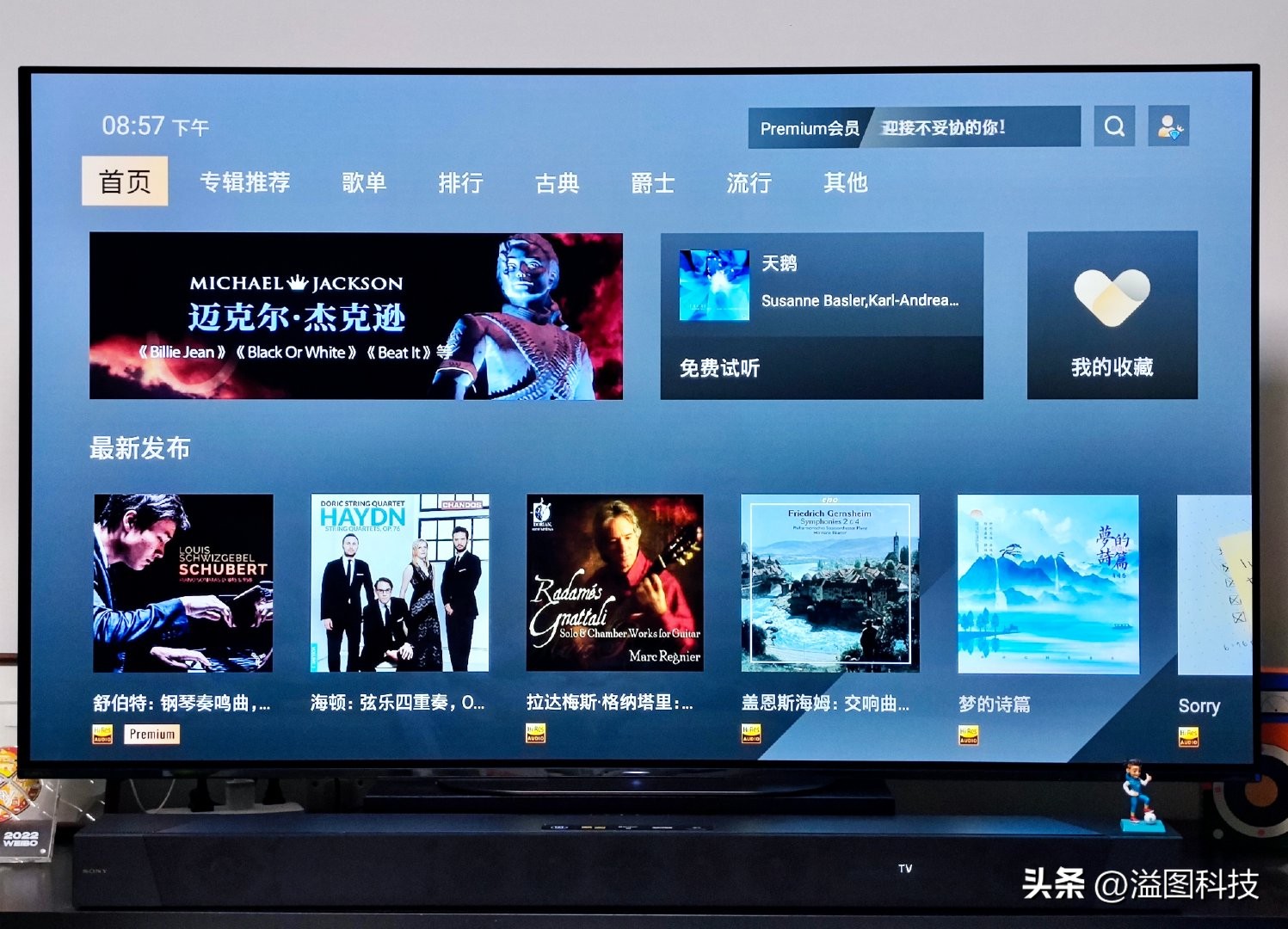 索尼sonynw-zx300ahi-res,索尼精选hi-res音乐属于真无损吗