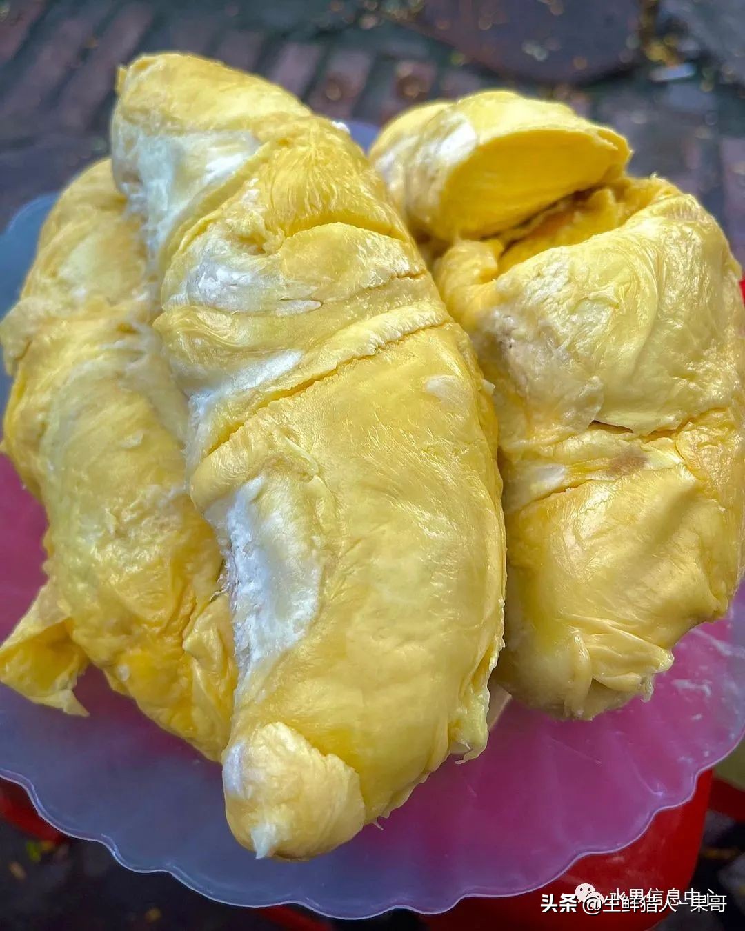 越南当地猫山王榴莲多少钱一斤,越南榴莲知识