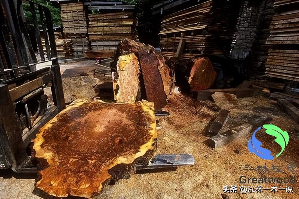 欧洲贵妇出轨被发现,欧洲白富美