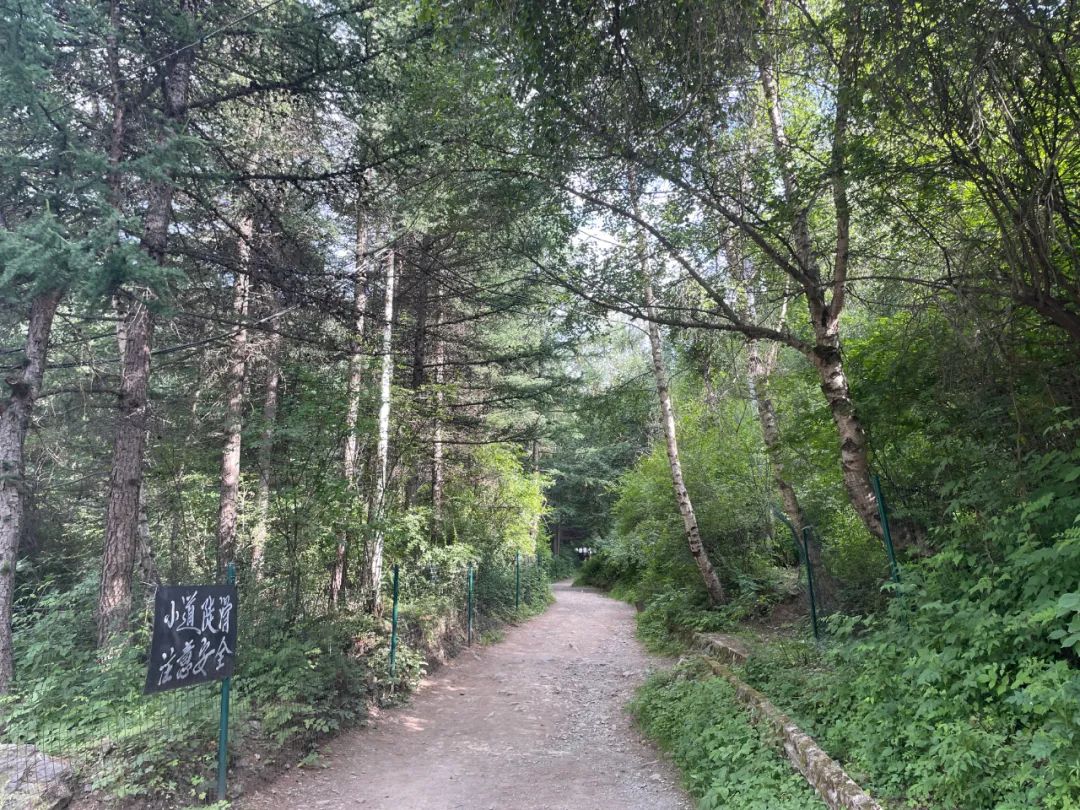 不出兰州，最快半小时到达！这个夏天，总要来趟榆中吧！