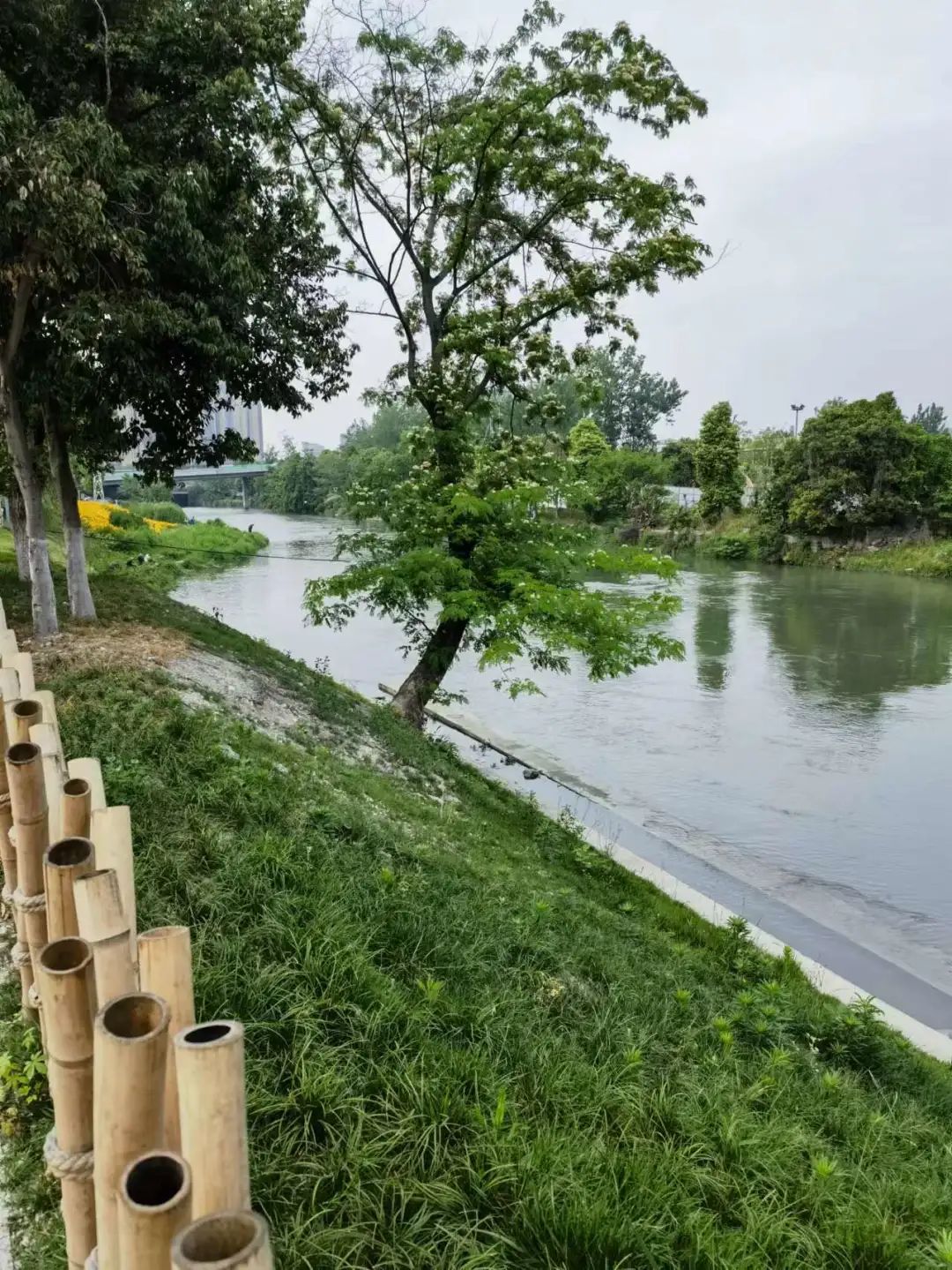 洞子口往事 (陈氏凉粉洞子口)