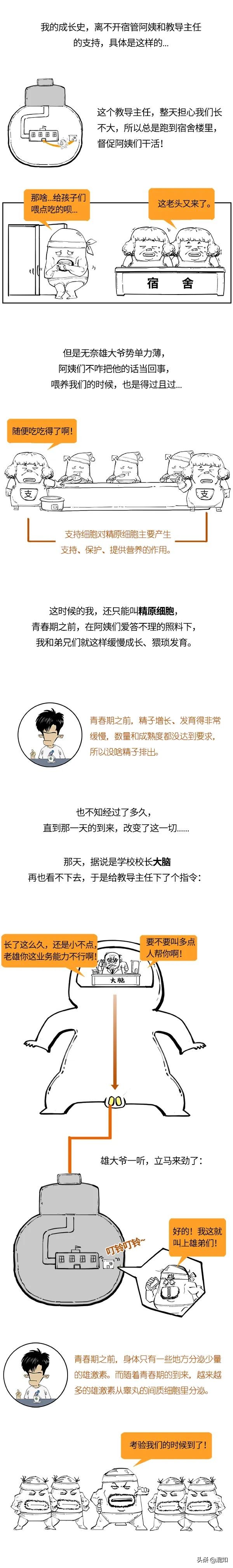 青春期男性遗精,青春期男性遗精规律