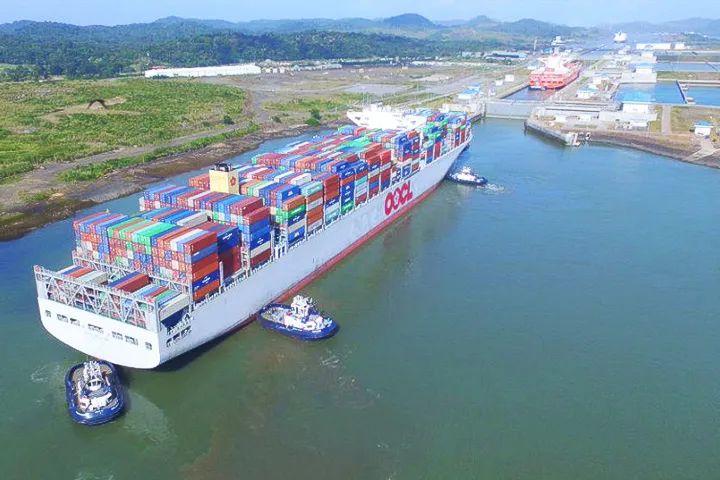 2019年羽绒行情的走势,羽绒出口