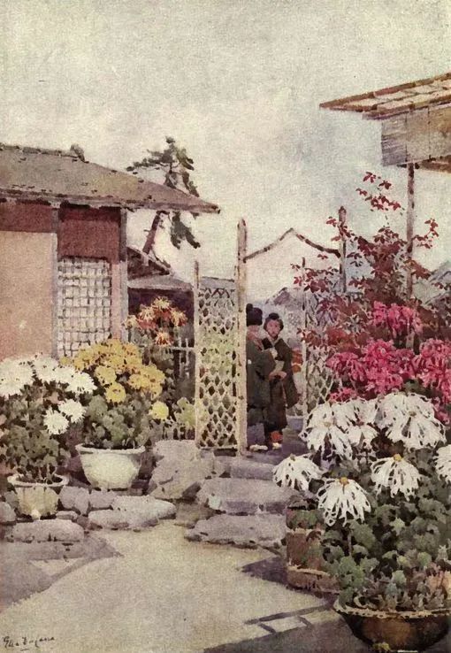 鑻卞浗鐢诲michael楂樻竻鍥剧墖浣滃搧,鑻卞浗姘村僵鐢诲elladucane缁樼敾浣滃搧