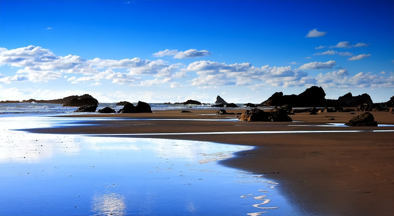 动态股息率与ttm股息率是什么关系,上证50股息率与沪深300股息率