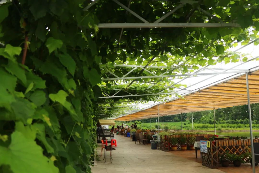 畅游吉林，龙潭区有5条精品线路！