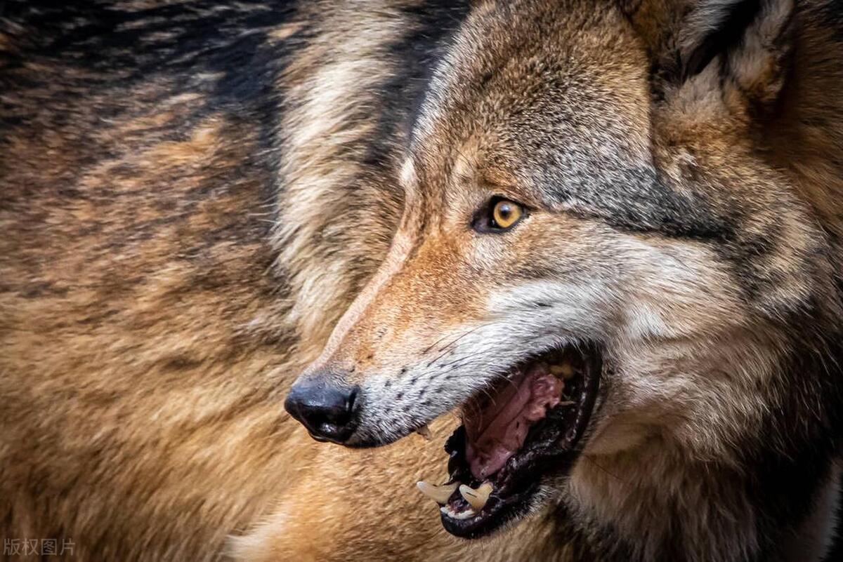 职场努力让自己变得更强大文案,从职场小白到职场精英的文案