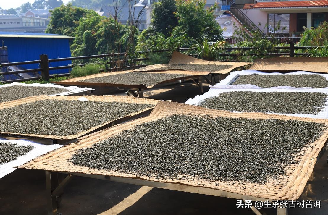 普洱茶品质和特征,普洱茶的品质