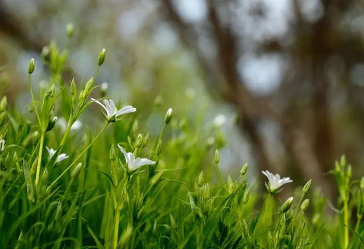 兔年取什么名字最好,兔年宝宝名字推荐
