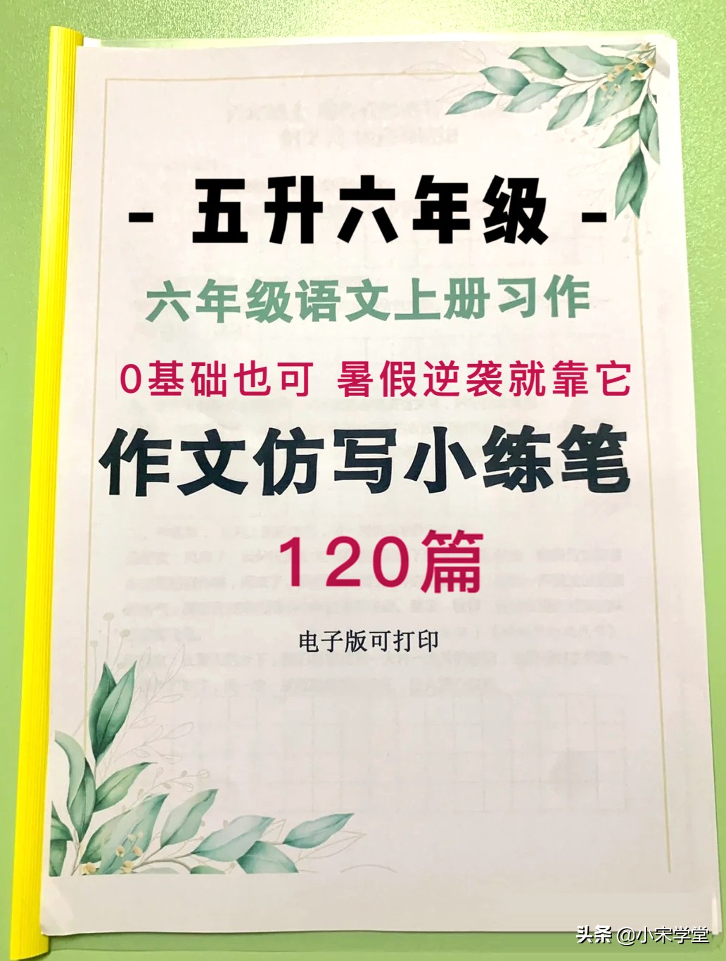 六年级下写作素材仿写,五升六习作专项训练