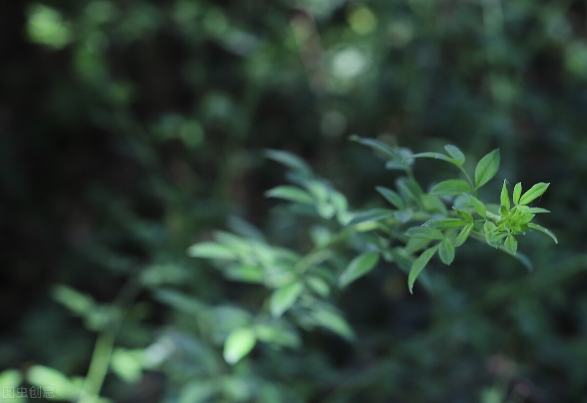 防水面料市场分析,防水透湿面料优缺点是什么