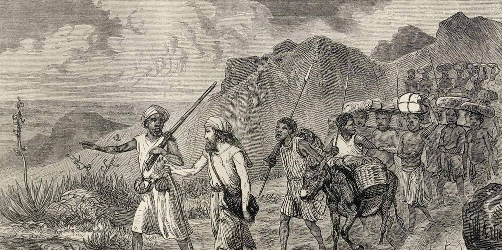 18世纪奴隶贸易最严重的原因,奴隶贸易的原因和影响