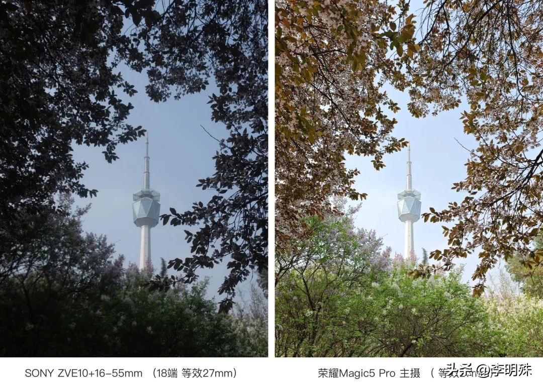 荣耀magic5pro和magic6pro拍照,荣耀magic5pro拍照