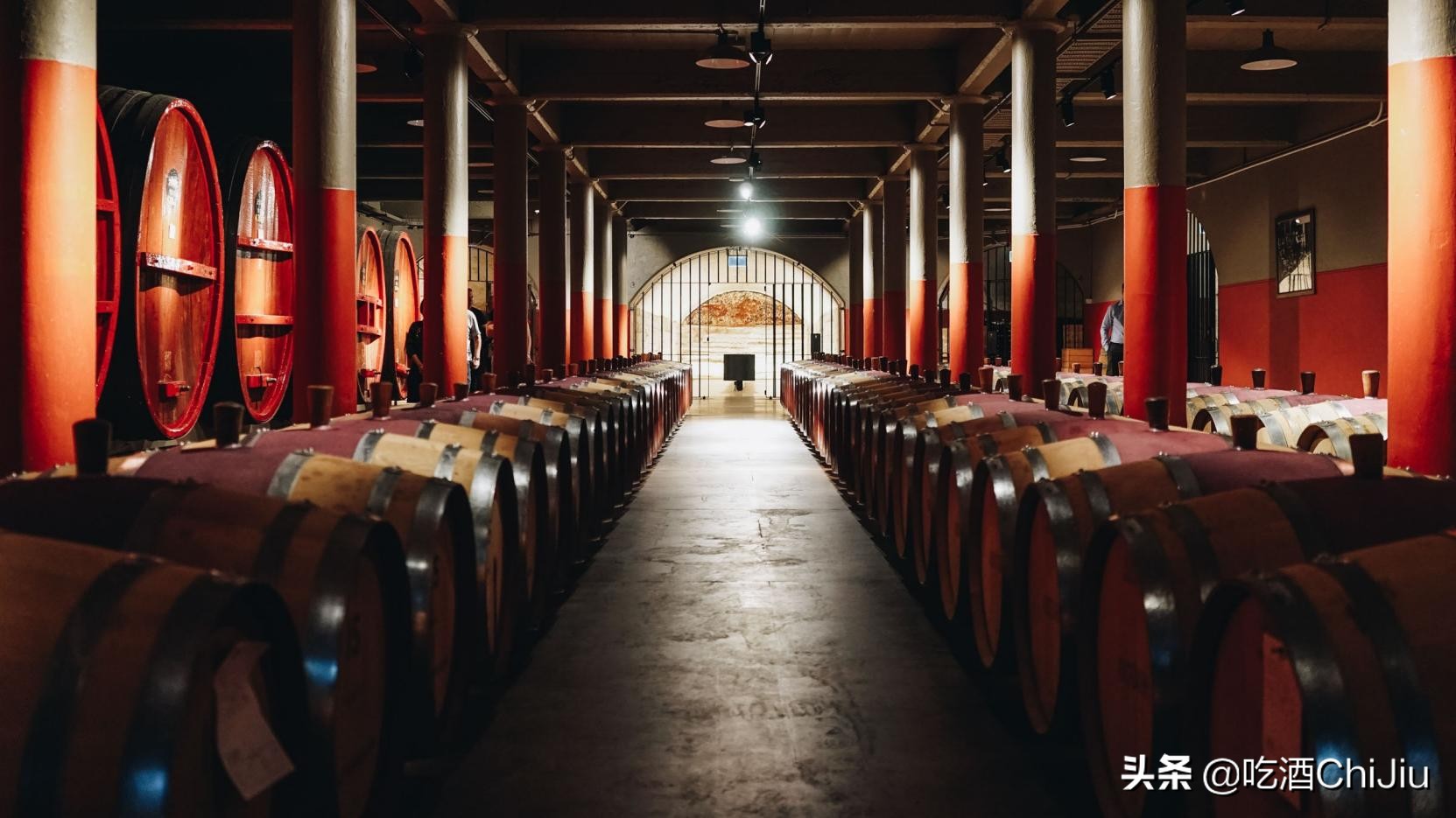 “奔富389”和“奔富407”，有哪些不同？