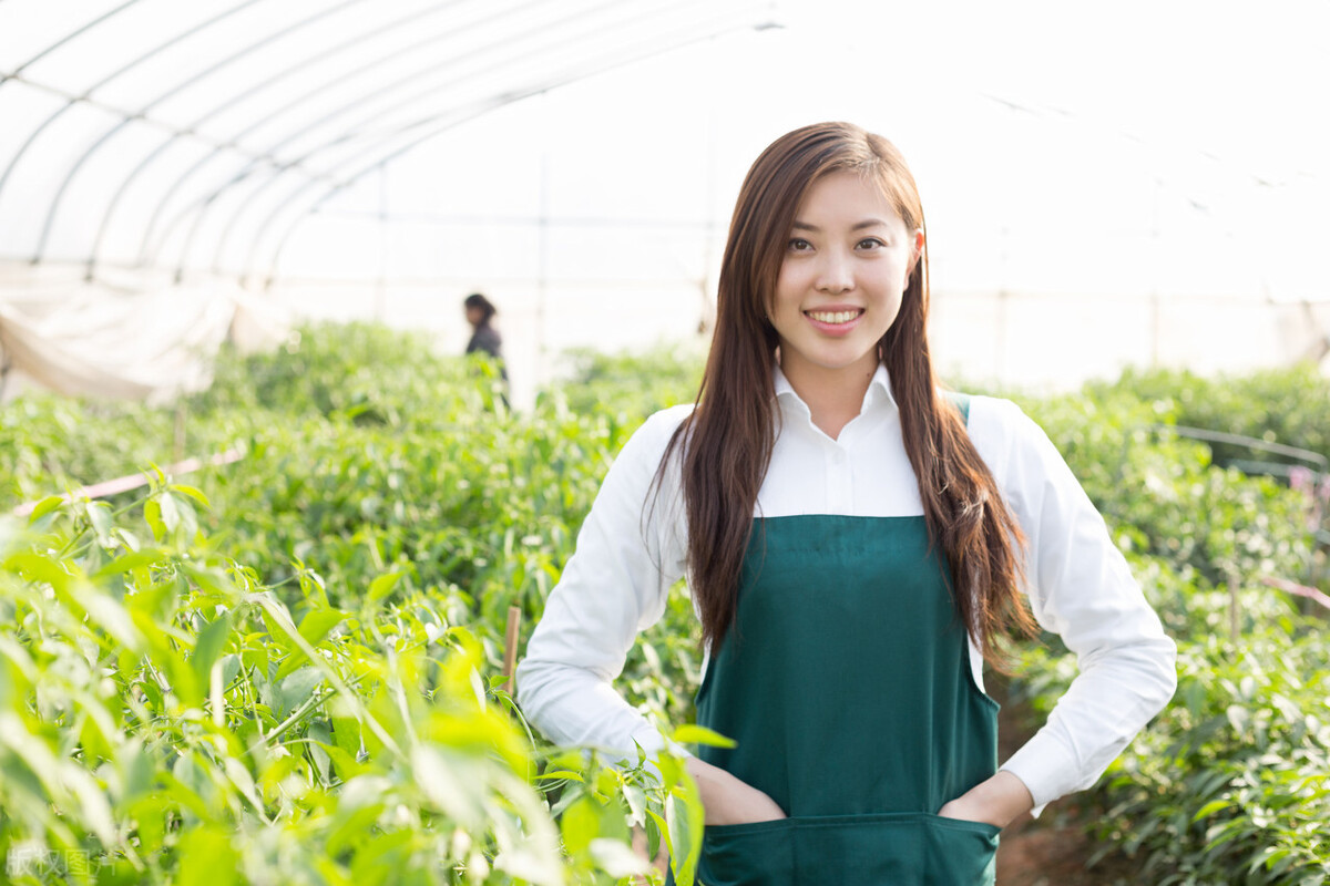 民间故事嫂娘,嫂娘短剧