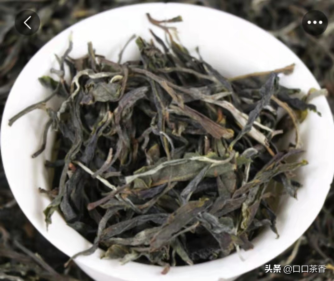 散茶沱茶饼茶砖茶区别,普洱沱茶饼茶散茶
