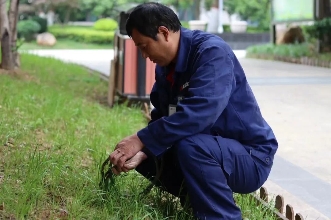 云慧城服|从社区到城市，鑫苑服务向美而行