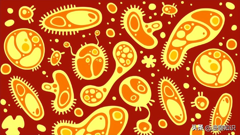 细菌是种类最广泛的畜禽微生物，如何将病毒与之分离