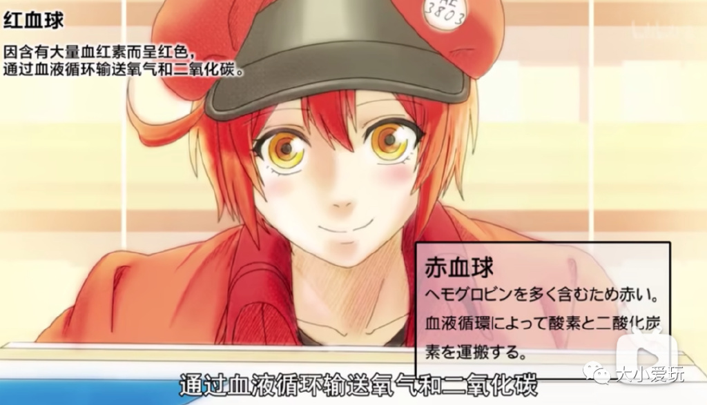 从科普到各学科，我们为孩子集齐了B站最强学习资源！记得收藏