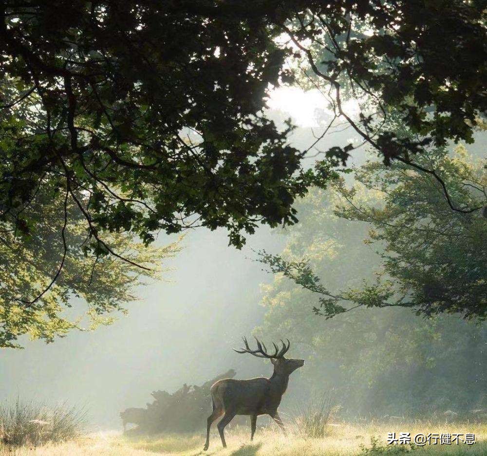 门对寒流雪满山的翻译,门对寒流雪满山