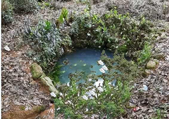 胆囊切除后腹胀怎么回事,胆囊切除术后腹胀怎么办