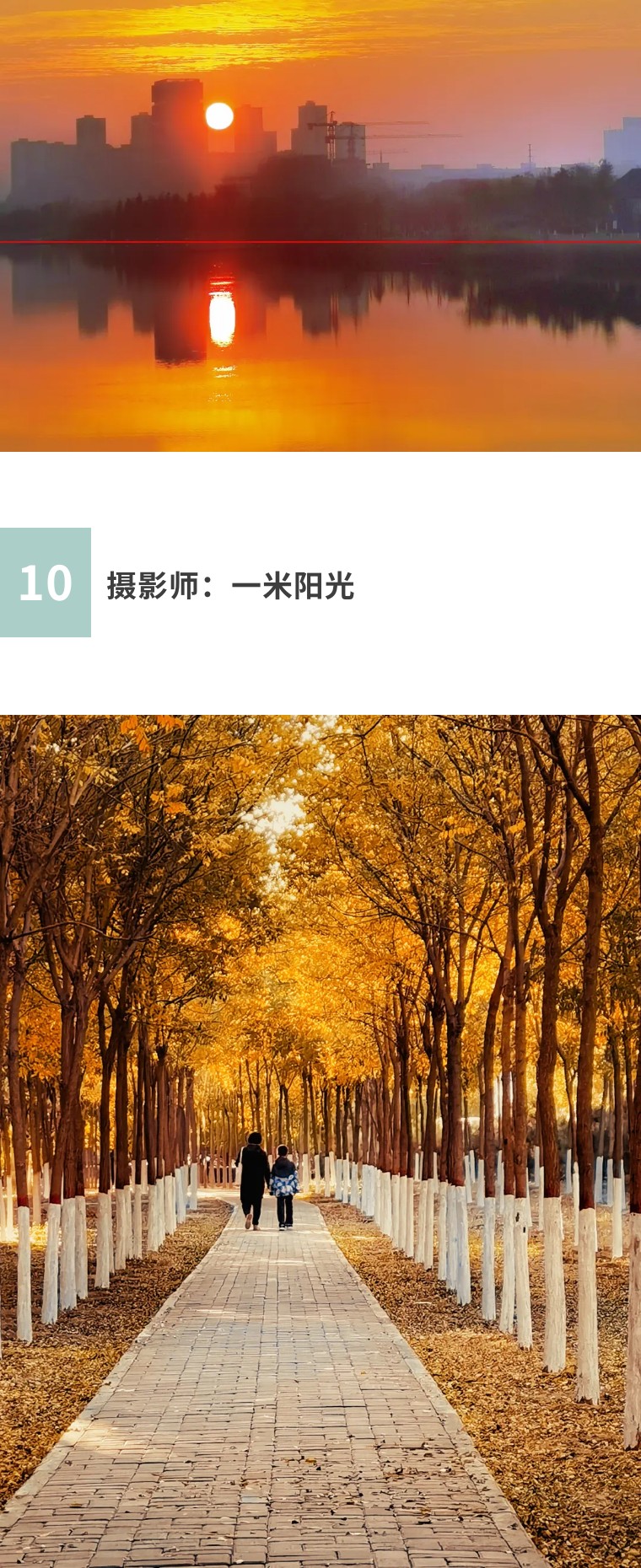 秋天怎么拍出好看的照片,秋天怎么拍出最好的照片