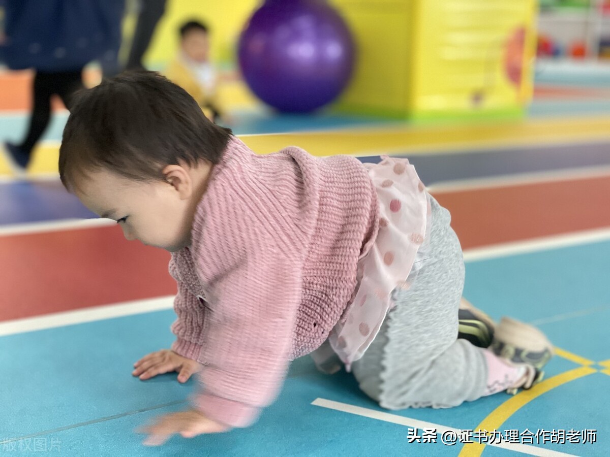 体适能教练资格证如何自己报名,少儿体适能教练证怎么样