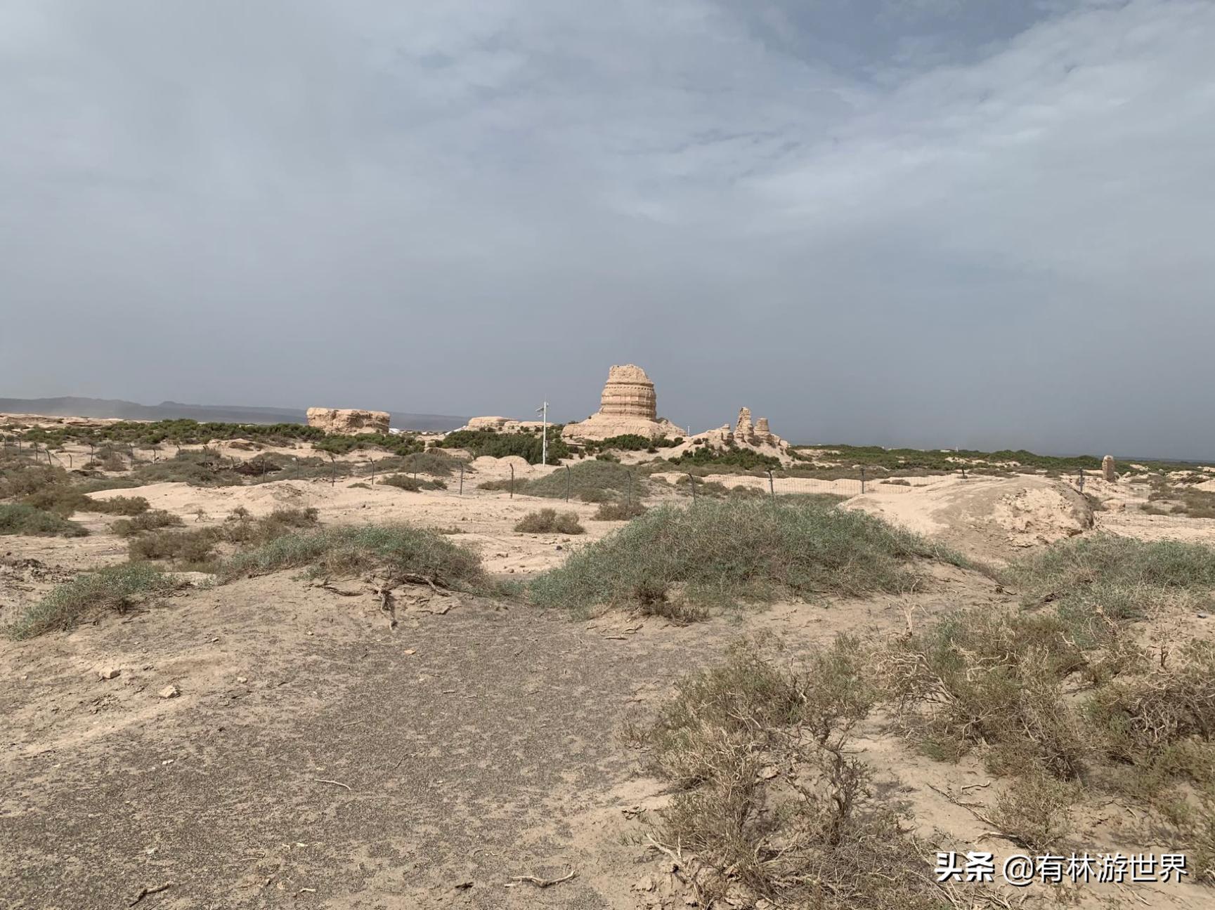 失业两年的旅游人,一个失业在家的旅游业者