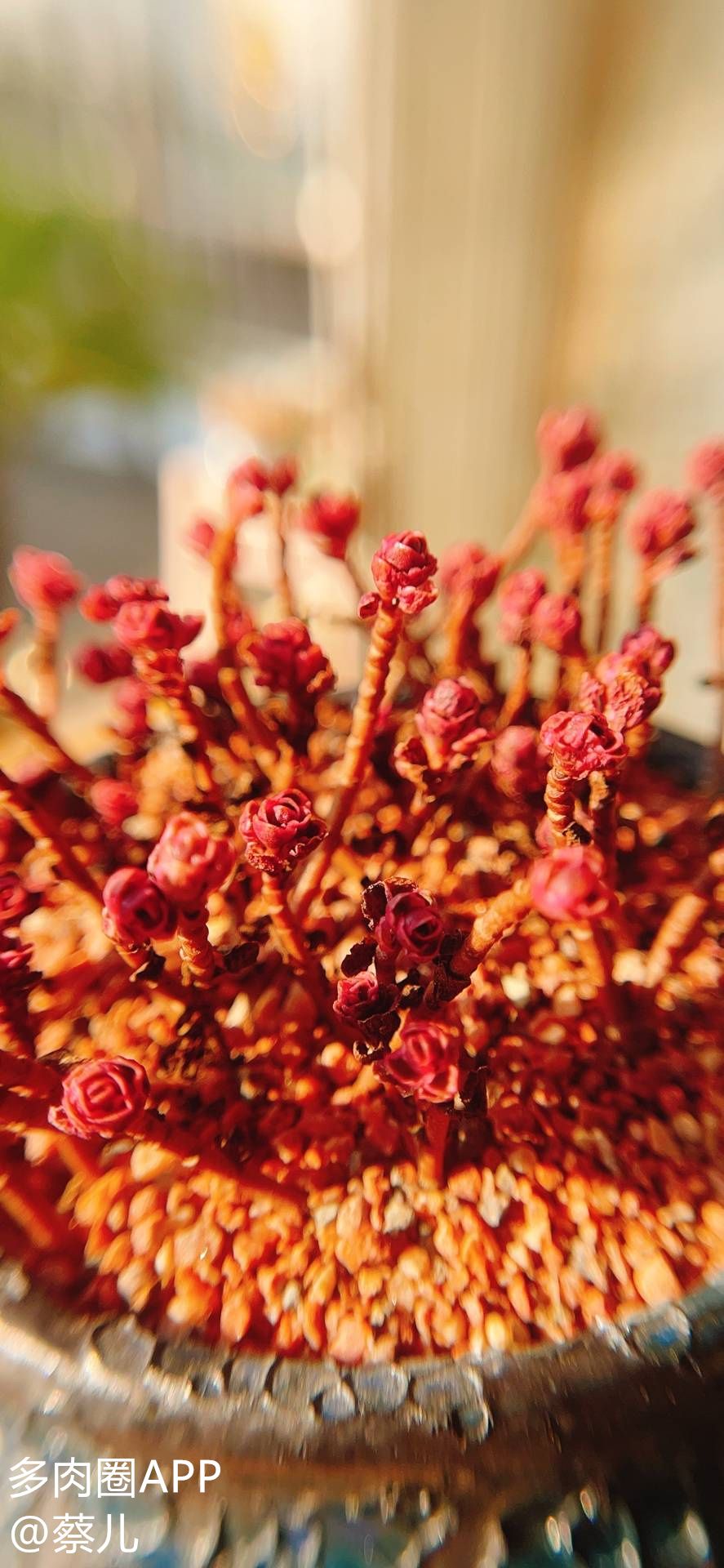 花盆排水最佳方法,花盆底下的排水孔太大怎么办